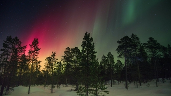 Mengkhawatirkan..Ilmuwan Nyatakan Tingkat Oksigen Bumi Perlahan Menurun